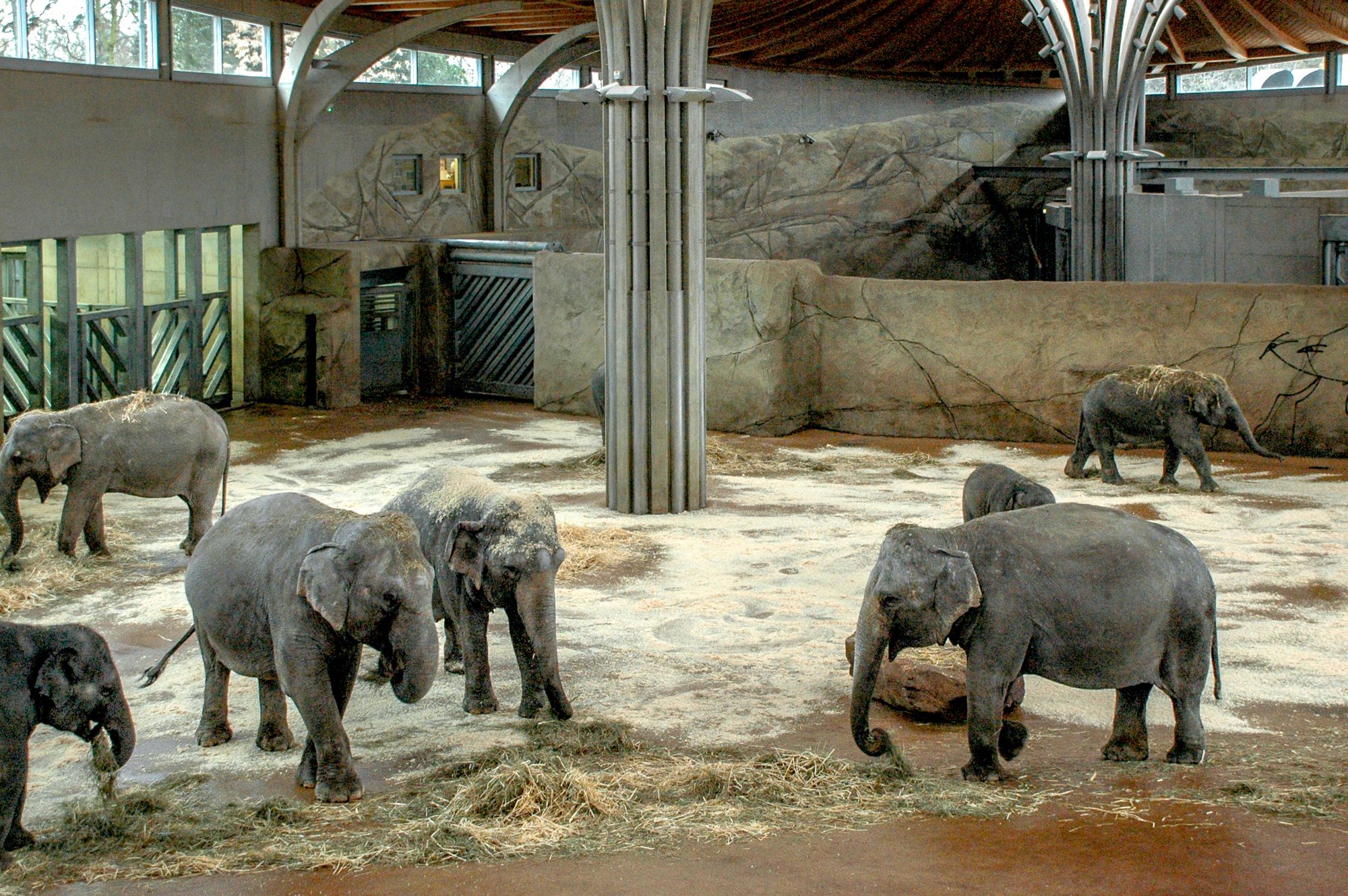 Elefantenhaus im Kölner Zoo, Stadt- und Dachbegrünung